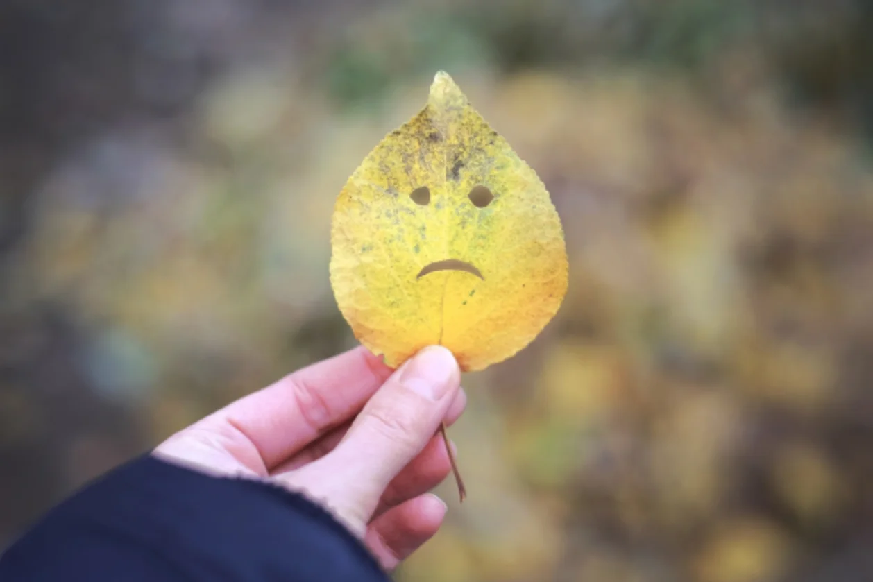 autumn leaf sad face healing journey at depression retreat